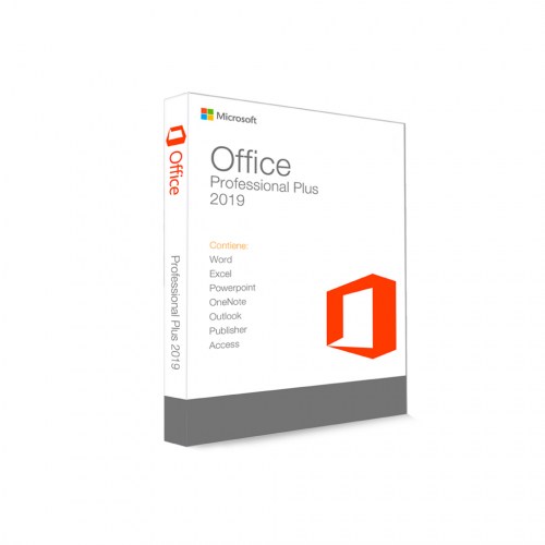 OFFICE 2019 PROFESSIONAL BOX-100